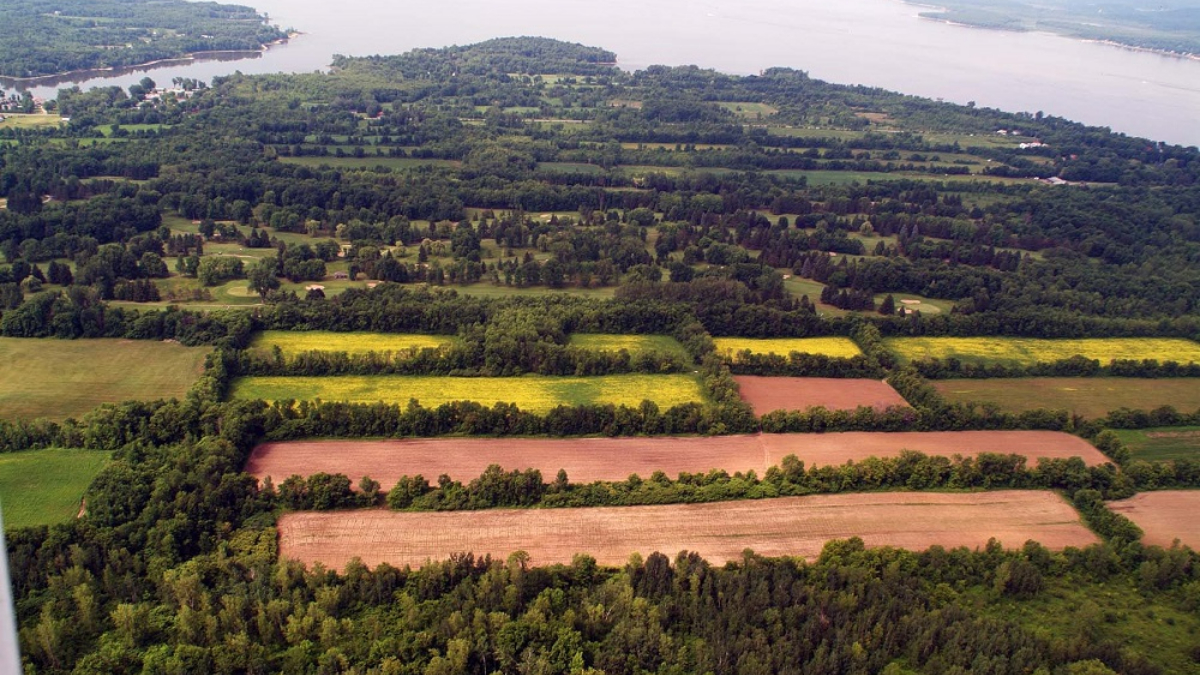 paysage humanisé de L’Île-Bizard