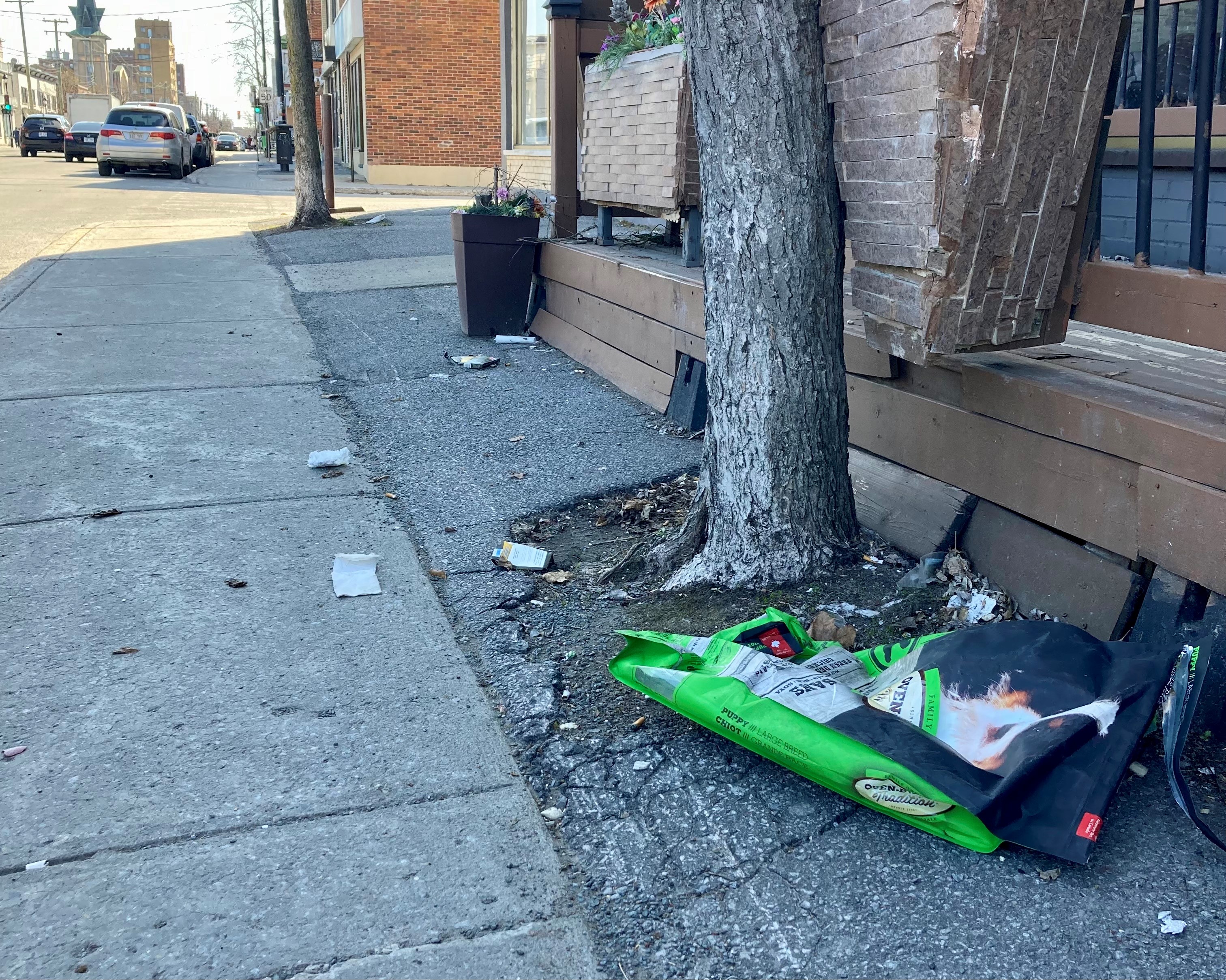 Les élus de Villeray–Saint-Michel–Parc-Extension modifieront les règlements relatifs à la propreté et au civisme lors du conseil d’arrondissement du 3 mai.