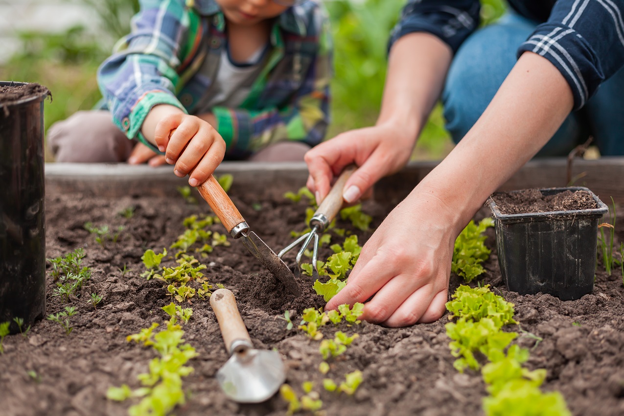 Plusieurs activités de jardinage auront lieu en mai