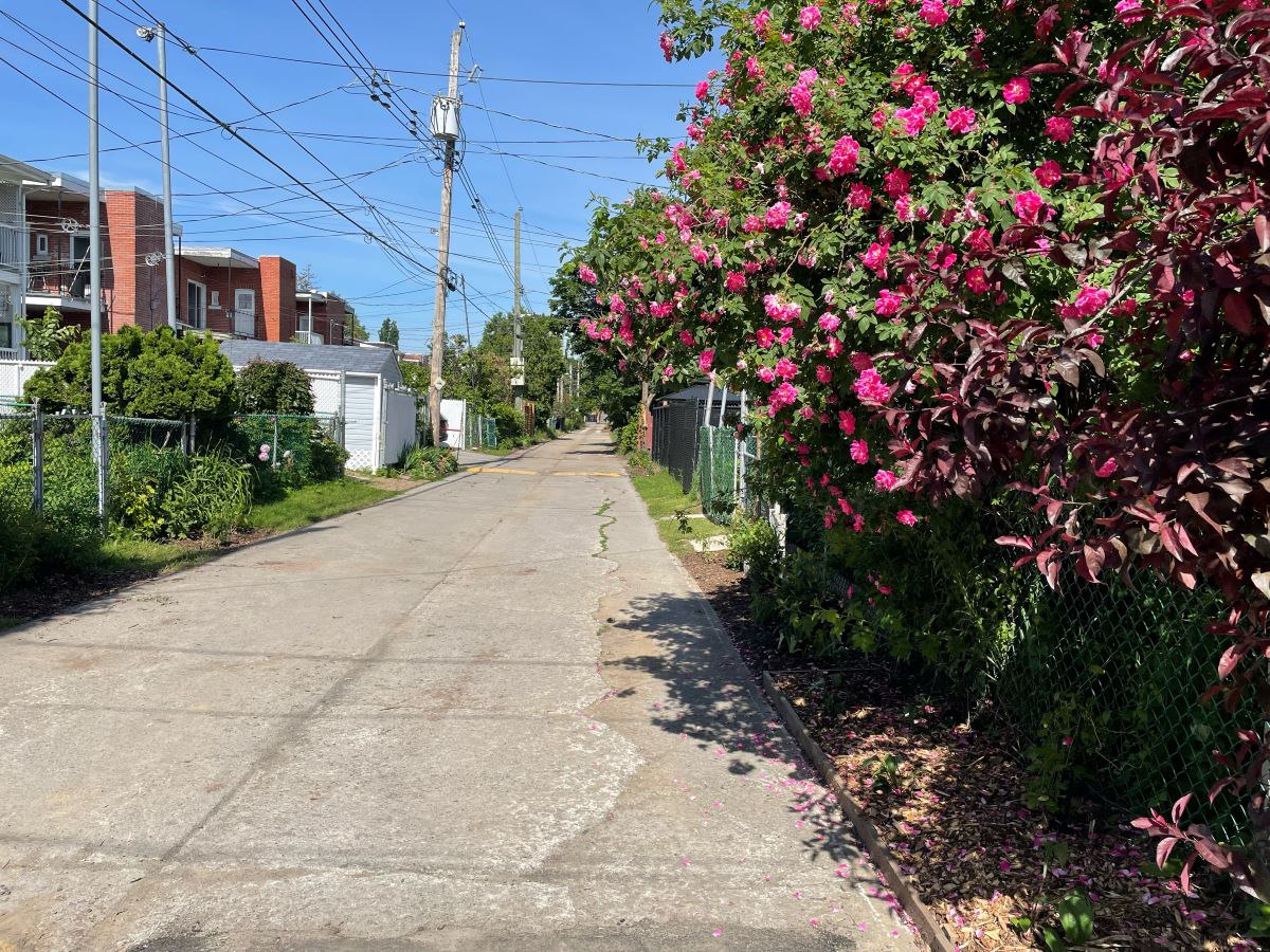 Ruelle verte Godin-Brown