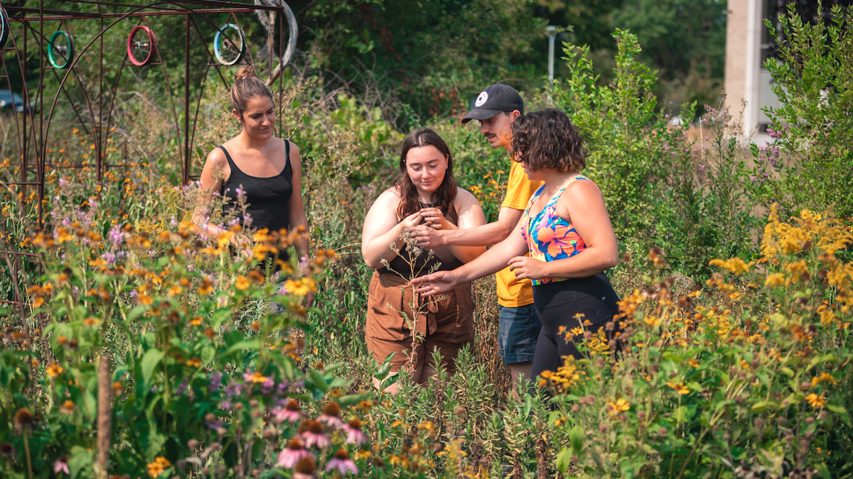 Ce 1er jardin collectif dans RDP-PAT est devenu un jardin éducatif, solidaire et expérimental.