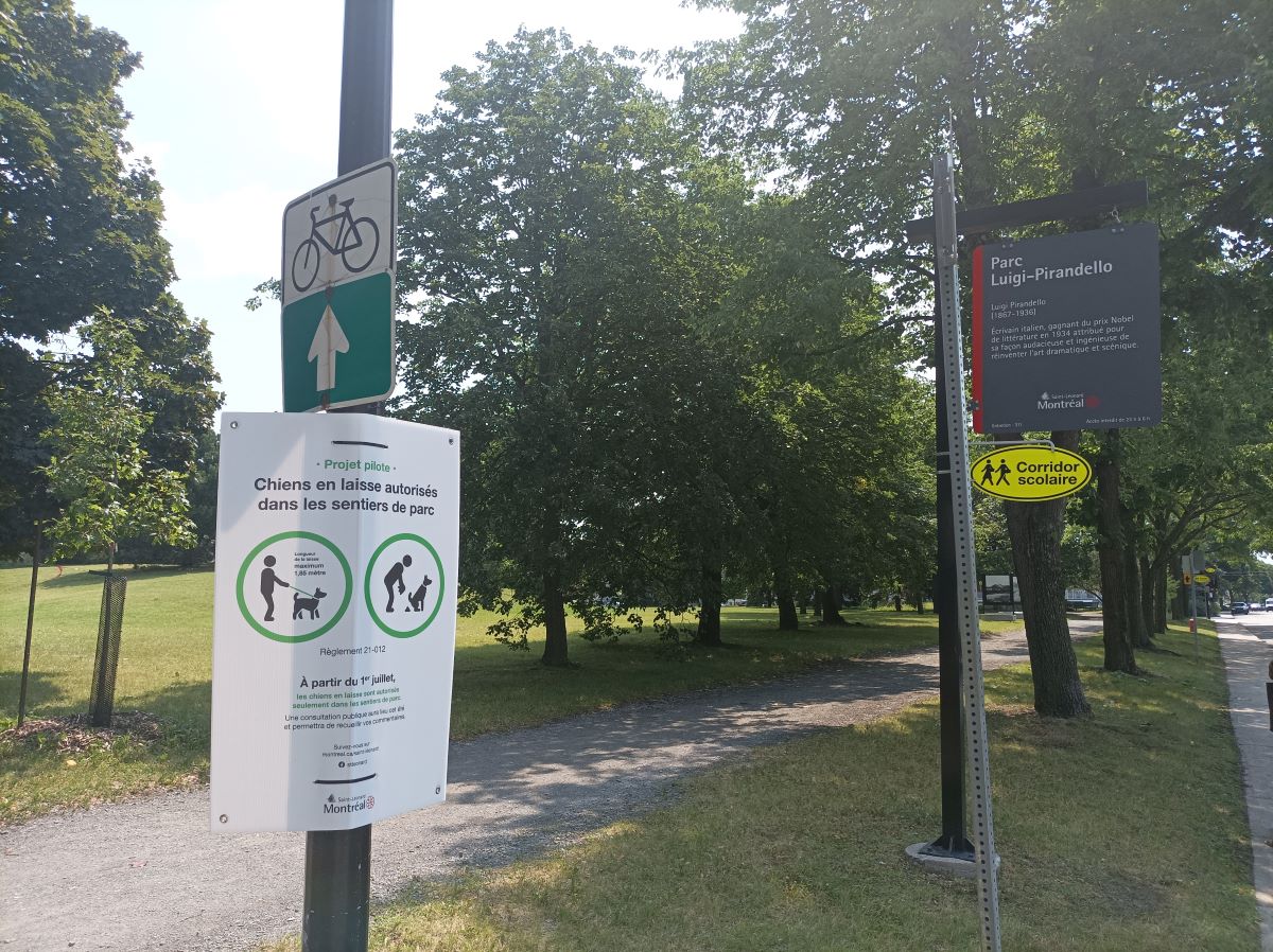 Un projet-pilote autorise les chiens dans les parcs léonardois.
