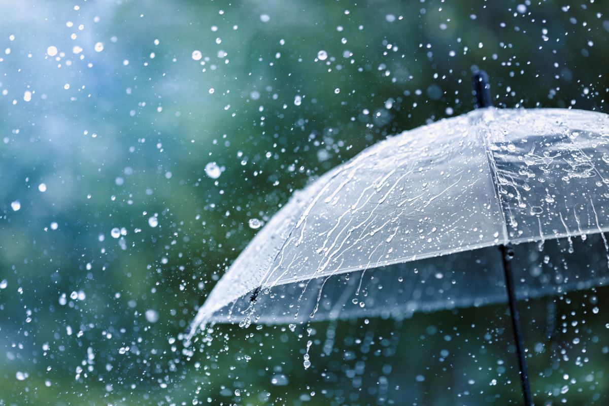 pluie et parapluie