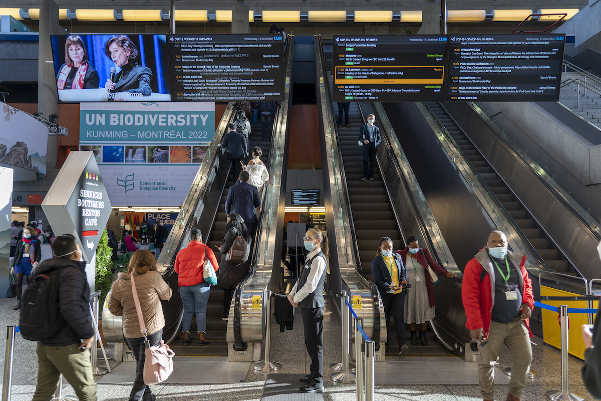 La COP15 au Palais des congrès de Montréal.