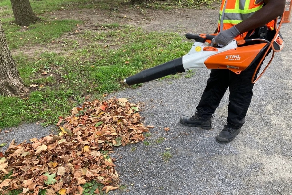 Souffleur à feuilles